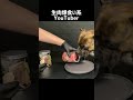 【大食い犬ASMR】パパからもらった生肉を爆食いする愛犬 MUKBANG Dog eats raw meat bones　#shorts