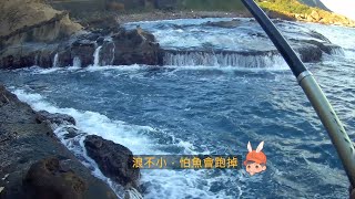 水湳洞香菇頭 釣況分享 Wild fishing in Taiwan. [嘟嘟釣魚狂#244] 2023/12/11,14 by 嘟嘟釣魚狂 20,471 views 4 months ago 11 minutes, 48 seconds