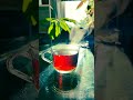 Morning Tea Lo-Fi Chill - Relaxing Coffee Vibes for Study & Work