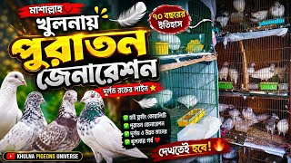 🔥 খুলনার পুরাতন জেনারেশন কবুতর |Rare Old Generation Pigeons in Khulna🕊️|High Quality Collection 2026