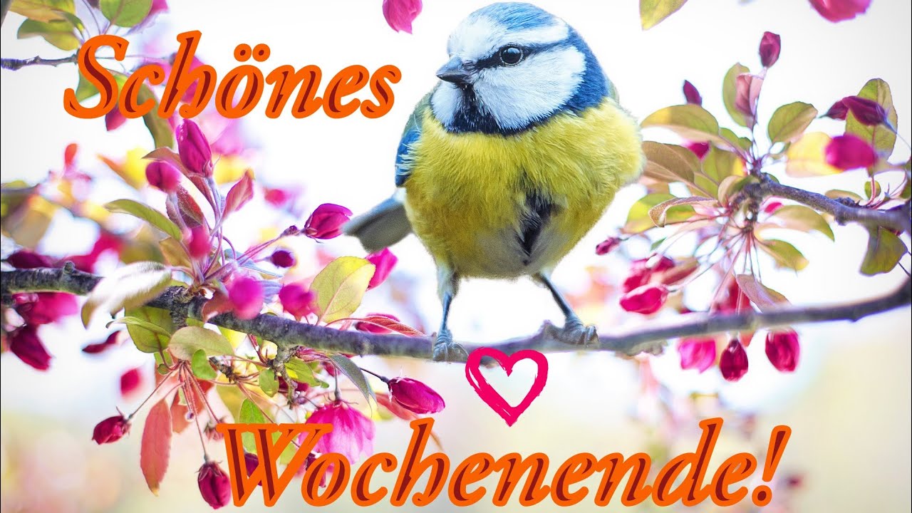 Süße Grüße zum Wochenende, Guten Grüße, WhatsApp Grüße YouTube