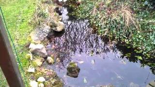 Video Test Galaxy Note 640x480 MP4
