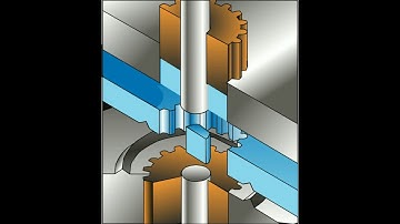 Fine blanking process
