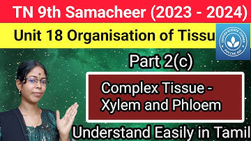 Complex Tissue - Xylem and Phloem| Class 9 Science Term 1 Unit 18 Organisation of Tissue