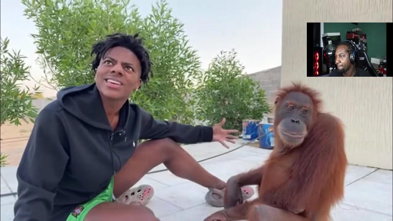 IShowSpeed Goes To The World s CRAZIEST ZOO REACTION YouTube ishowspeed-goes-to-the-world-s-craziest-zoo-reaction-youtube
