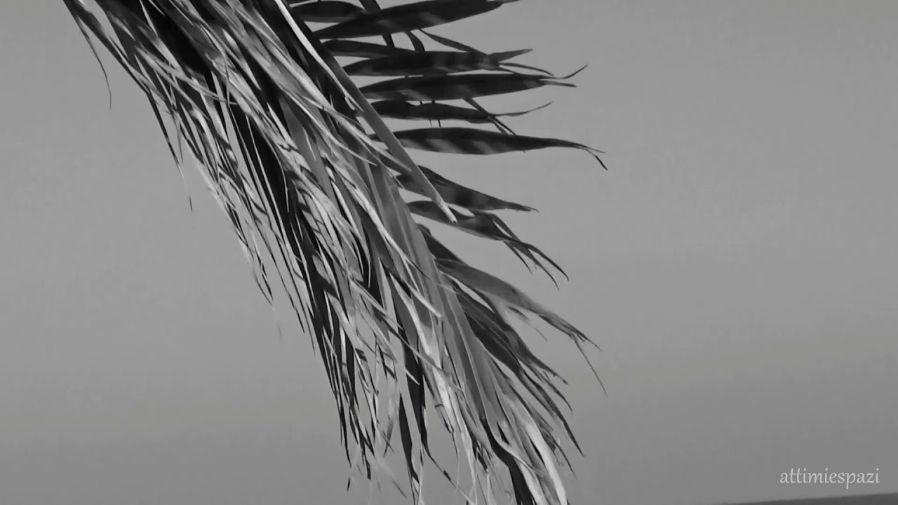 CI VORREBBE IL MARE ___ (cover di Arianna Cleri) ___