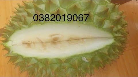 Xử lý sượng nước sầu riêng như thế nào? | Phân bón cao phân tử | Nguyễn Ngọc Trai