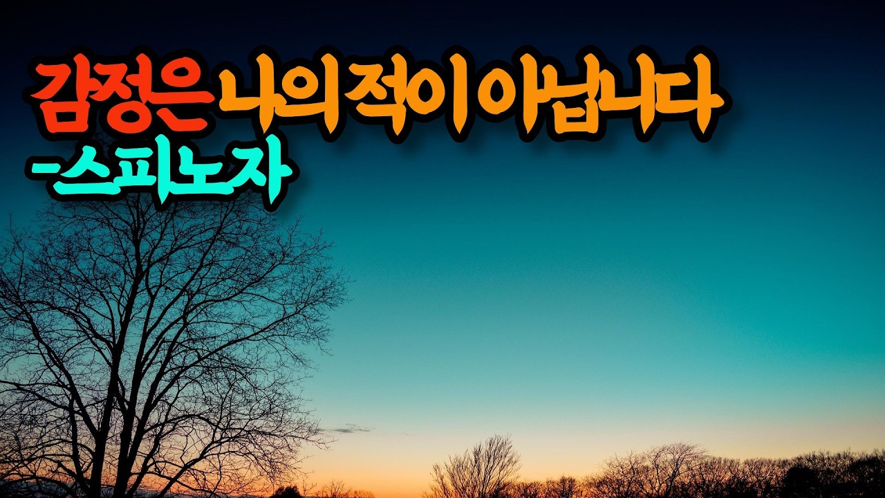 감정은 나의 적이 아닙니다 #시니어라디오 #수면오디오 #마음의소리로쓰는글 #조용한위로