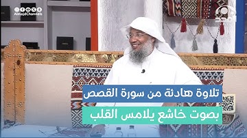 تلاوة هادئة لآيات من سورة القصص - القارئ: عبدالحميد النويشر