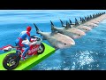 SPIDERMAN and Motorcycles with Shark Obstacles Superheroes Challenge - GTA 5