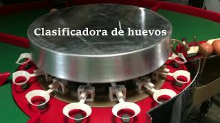 Clasificadora de Huevos - NASA INDUSTRIAL Y COMERCIAL