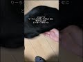 ミニピンがこれほどだとは思わなかった#ミニピン #ミニチュアピンシャー #いぬのいる生活