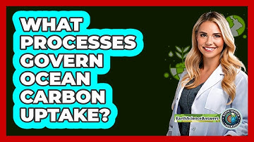 What Processes Govern Ocean Carbon Uptake?