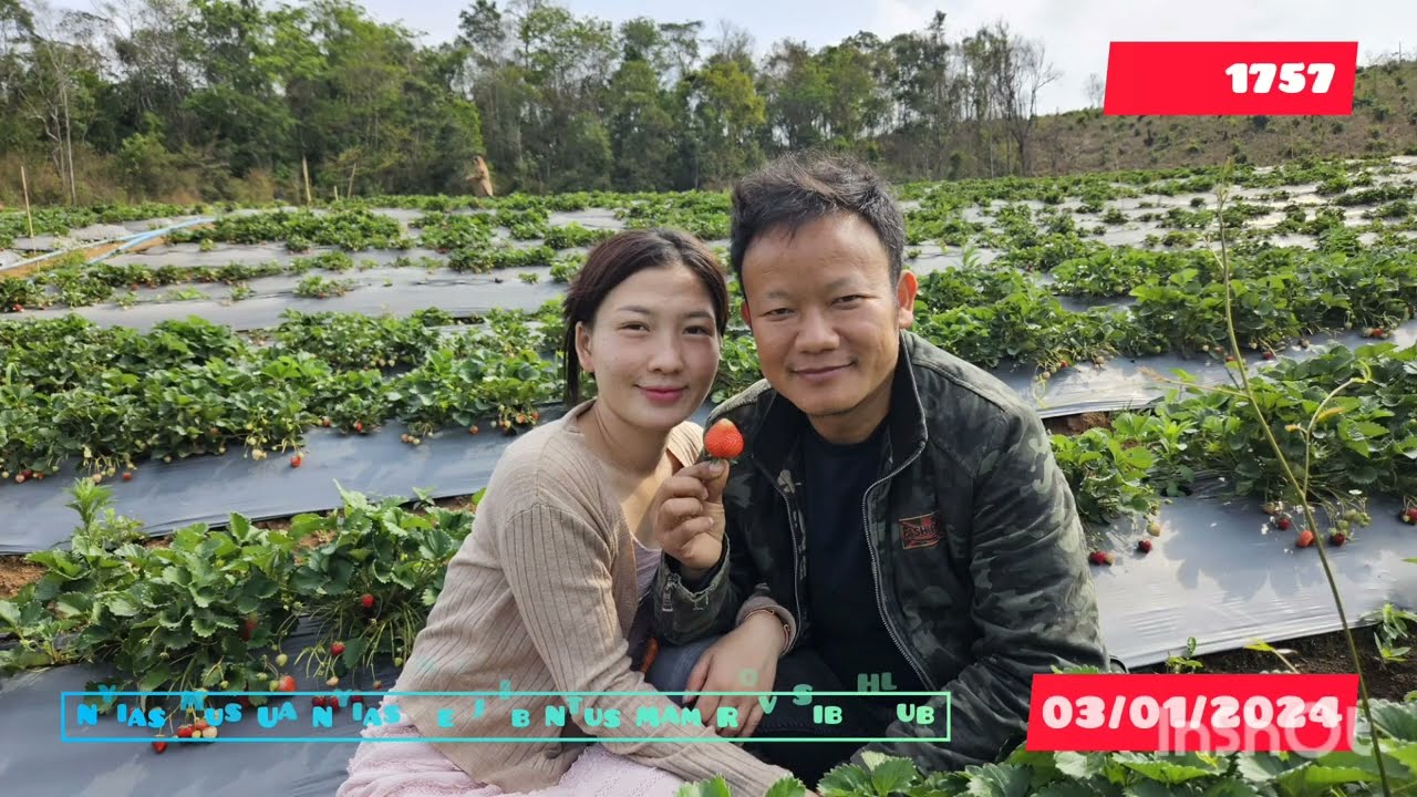 Nyias Mus Ua Nyias Neej Ib Ntus Mam Rov Sib Hlub 03/01/2024