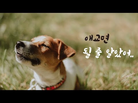 어디서 이상한 애교를 배워온 남자친구ASMR