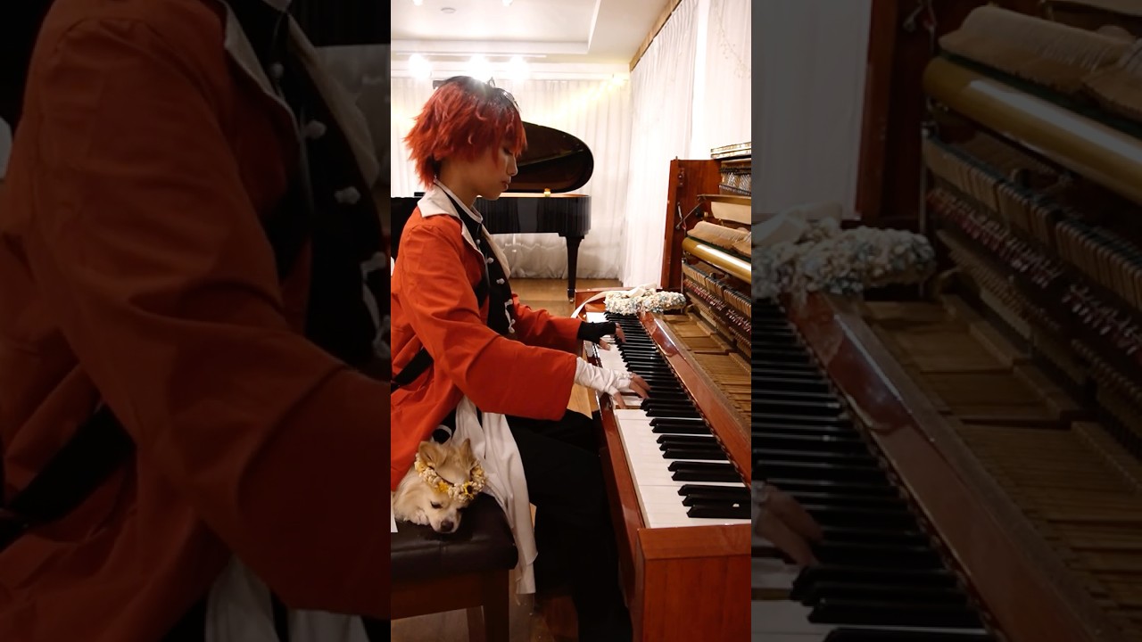 POV: Playing Mrs. GREEN APPLE “Lulu” with Stark's warrior speed 🪓⚡#Frieren #piano