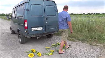 Florist Delivery Driver destroys extra Flowers he had on the Truck - Man Stomping & Crushing