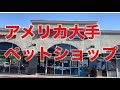 アメリカ大手ペットショップ
