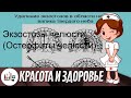 Экзостозы челюсти  (Остеофиты челюсти)