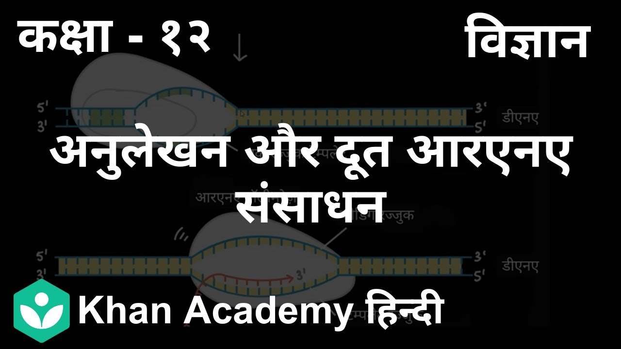 Transcription and mRNA processing [Hindi] | Molecular basis of ...