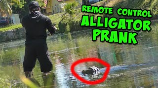 Fake Alligator Prank!  Remote Control Alligator Head