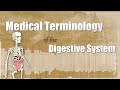 Medical terminology of the digestive system
