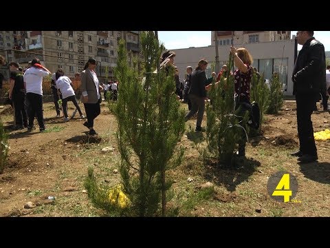 რუსთავში ქარსაცავი ზოლი გაშენდა  24 -04- 2019