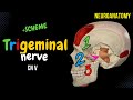 CN 5: Trigeminal Nerve (Scheme, Divisions, Pathway) | Neuroanatomy Mp3 Song