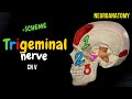 CN 5: Trigeminal Nerve (Scheme, Divisions, Pathway) | Neuroanatomy