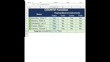 #Lesson116 Excel (COUNTIF Function)