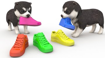 Con Cún Nhà Em | Nhạc Thiếu Nhi Sôi Động | Nhạc Thiếu Nhi Cho Bé Xem Vui Nhộn | Nursery Rhymes