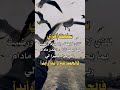سلمت أمري للذي لا يغفل و لا ينام 