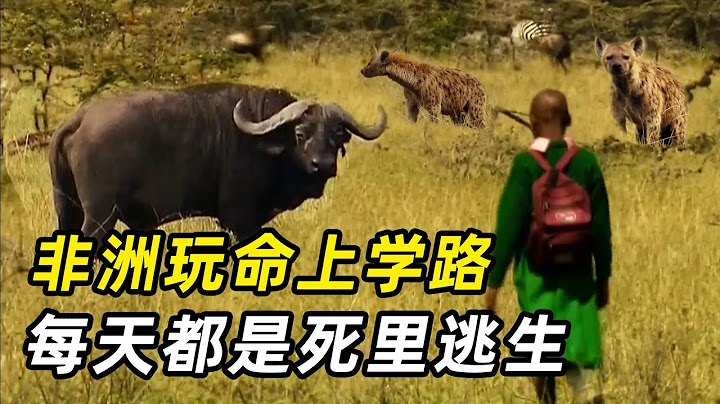 世界最危险上学路，徒步20公里，花豹大象遍地跑，每天都是死里逃生！