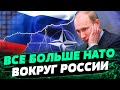 Вопреки помехам России! Швеция ВСТУПАЕТ В НАТО! — Олеся Яхно