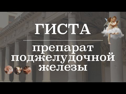 Видео: Являются ли островки Лангерганса железой?