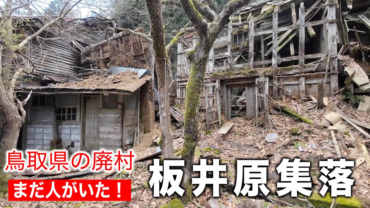 鳥取県智頭町【限界集落から廃村へ】人が離れて１２年で屋根が落ちた廃屋...人と遭遇！《板井原集落》
