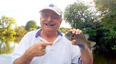 Bluegill Chowder (with low-carb mammoth tusk) - YouTube