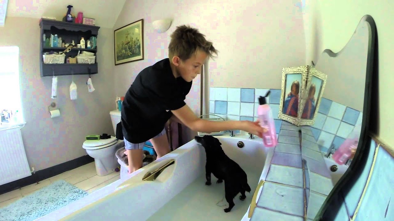 quick edit gopro dog bath YouTube