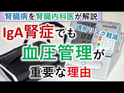 【腎臓内科医】IgA腎症でも血圧管理が大事！【薬】