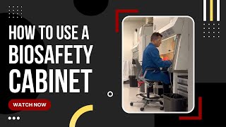 How to Properly Use a Biosafety Cabinet (BSC) at USC