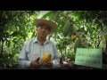 PROMO: MUNDO AGROPECUARIO - CUSCO TV - CANAL 47