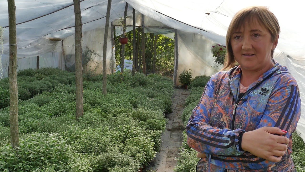 Naša priča ep. 214 26.10.2019. Proizvodnja cveća i povrća, Pajsijević