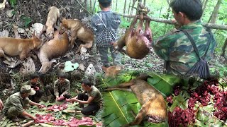 Hunting Deer In The Mountains - Catch & Cook - Yos hav zoov tua kauv (amazing)