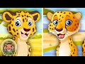 Bisakah ANDA Menemukan Perbedaan Antara Macan Tutul & Jaguar? | Lagu Hewan Untuk Anak | KLT LIAR