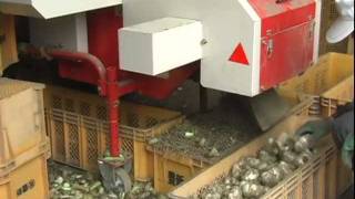 にんにく茎葉処理機 ササキ ルートシェーバGR451M - YouTube にんにく茎葉処理機 ササキ ルートシェーバGR451M - YouTube