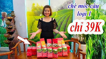 Trà Móc Câu Vụ Xuân Tân Cương Thái Nguyên - TRÀ TIÊN LẦU