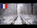 🇫🇷 Winter walk through a snowy forest [Binaural Sound ASMR 4K] ❄️