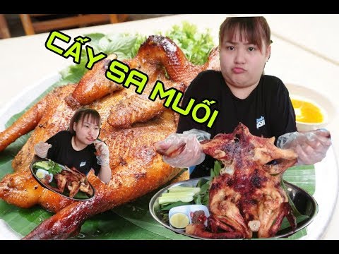 Video Ăn và Review CẤY SA MUỐI | Phụng Lai Official - youtube