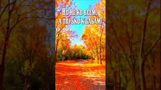 Осень, ты как там???  #видеоткрытки #любовьlife #юмор