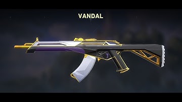 DAY 13 TRYING TO GET PRIME VANDAL